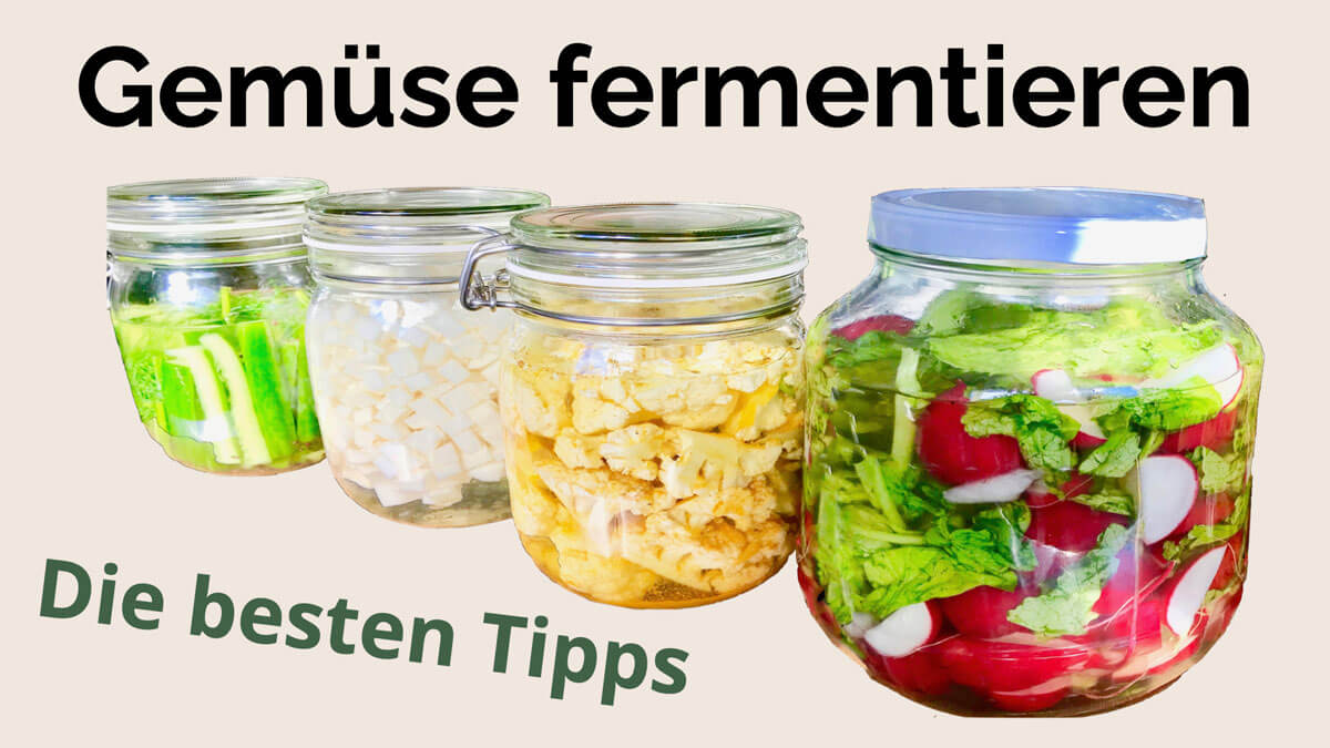Gemüse fermentieren gelingt mit diesen Tipps und Rezept von Gesundheitsexpertin Fanny Patzschke ganz einfach