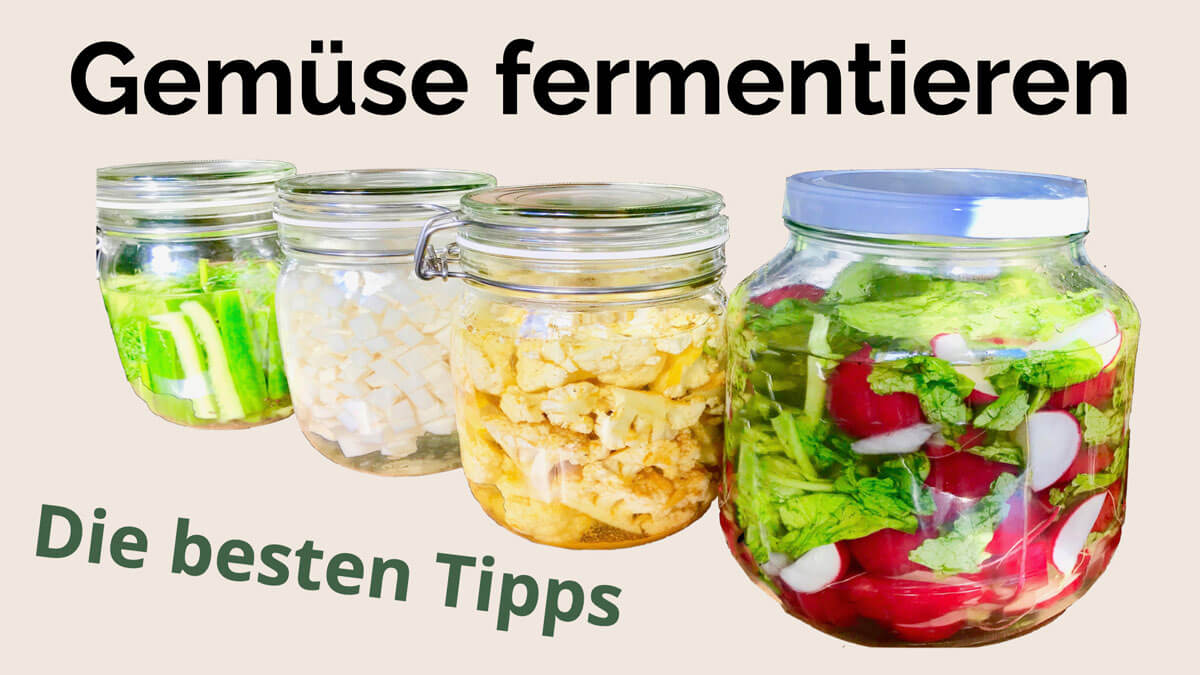 Gemüse fermentieren gelingt mit diesen Tipps und Rezept von Präventiv-Apothekerin Fanny Patzschke ganz einfach