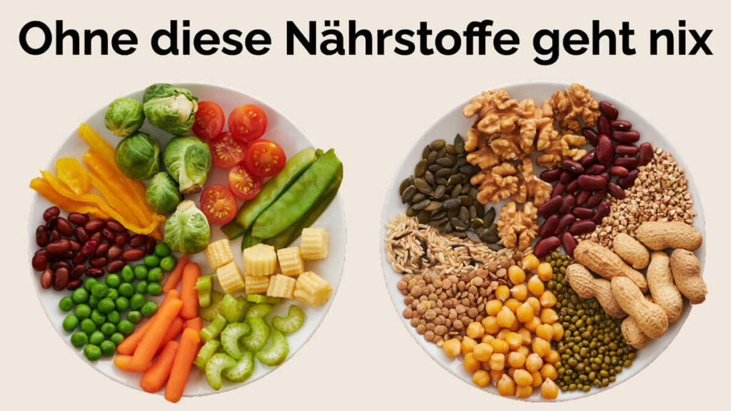 Präventiv-Apothekerin Fanny Patzschke verrät, welche Nährstoffe dein Körper wirklich braucht.