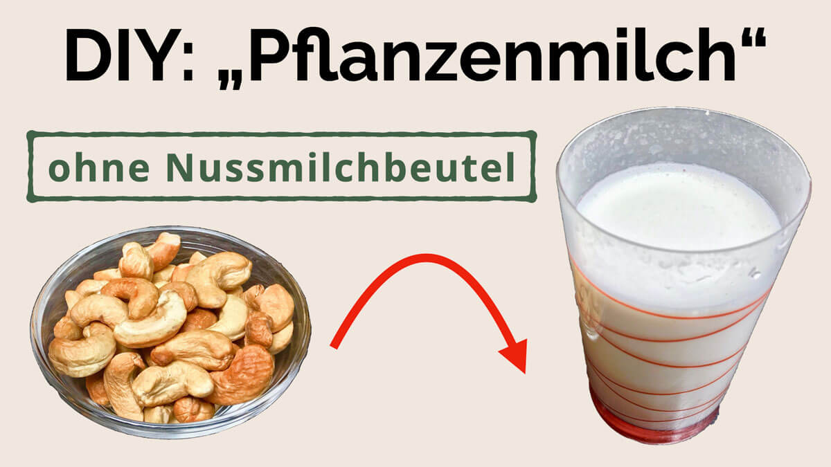 Präventiv-Apothekerin Fanny Patzschke teilt das ultimative Rezept für die beste vegane Milch. Es dauert nur 5 Minuten und du brauchst keinen Nussmilchbeutel.