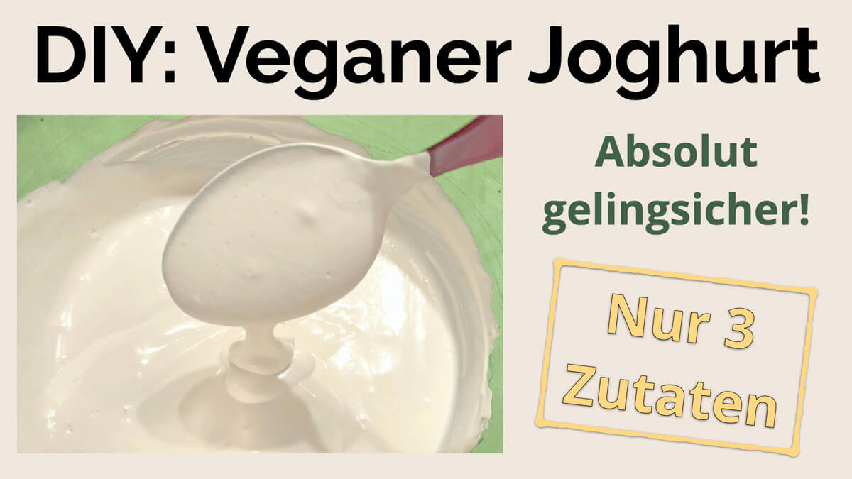 Veganer Joghurt lässt sich nach diesem Rezept von Präventiv-Apothekerin Fanny Patzschke ganz einfach selber machen.