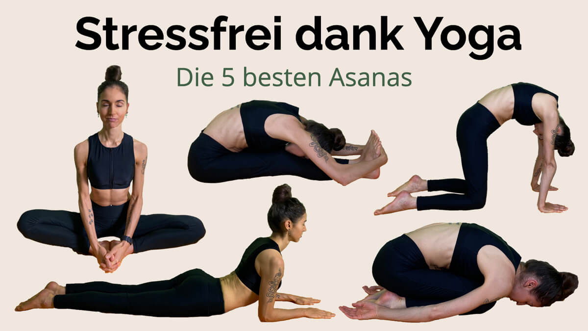 Präventiv-Apothekerin Fanny Patzschke zeigt die 5 besten Yoga Übungen gegen Stress: Stellung des Kindes, sitzende Vorwärtsbeuge, Katze, Sphinx, Schmetterling.