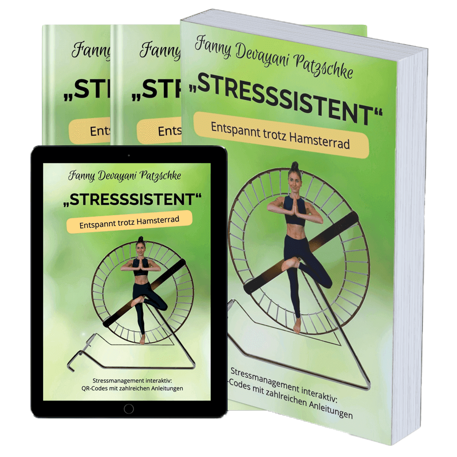 eBook über Stressmanagement mit Meditationen, Audio- und Videoanleitungen zum Entspannen und Wohlfühlen