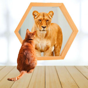 Gewinner-Mindset - Katze sieht sich als Löwe im Spiegel: Online-Gesundheitsratgeber Mentaltraining von Präventiv-Apothekerin Fanny Patzschke