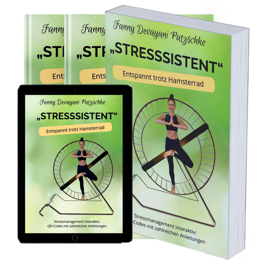 Buch über Stressmanagement mit Meditationen, Audio- und Videoanleitungen zum Entspannen und Wohlfühlen
