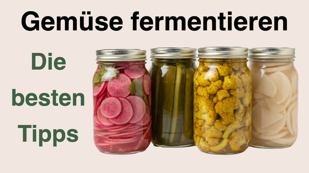 Gemüse fermentieren gelingt mit diesen Tipps und Rezept von Apothekerin und Ernährungsberaterin Fanny Patzschke ganz einfach