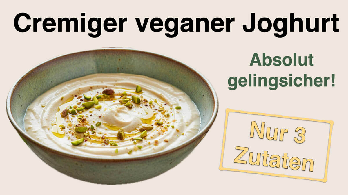 cremiger veganer Joghurt aus nur 3 Zutaten einfach selbstgemacht - gelingsicheres Rezept von Apothekerin und Ernährungsberaterin Fanny Patzschke