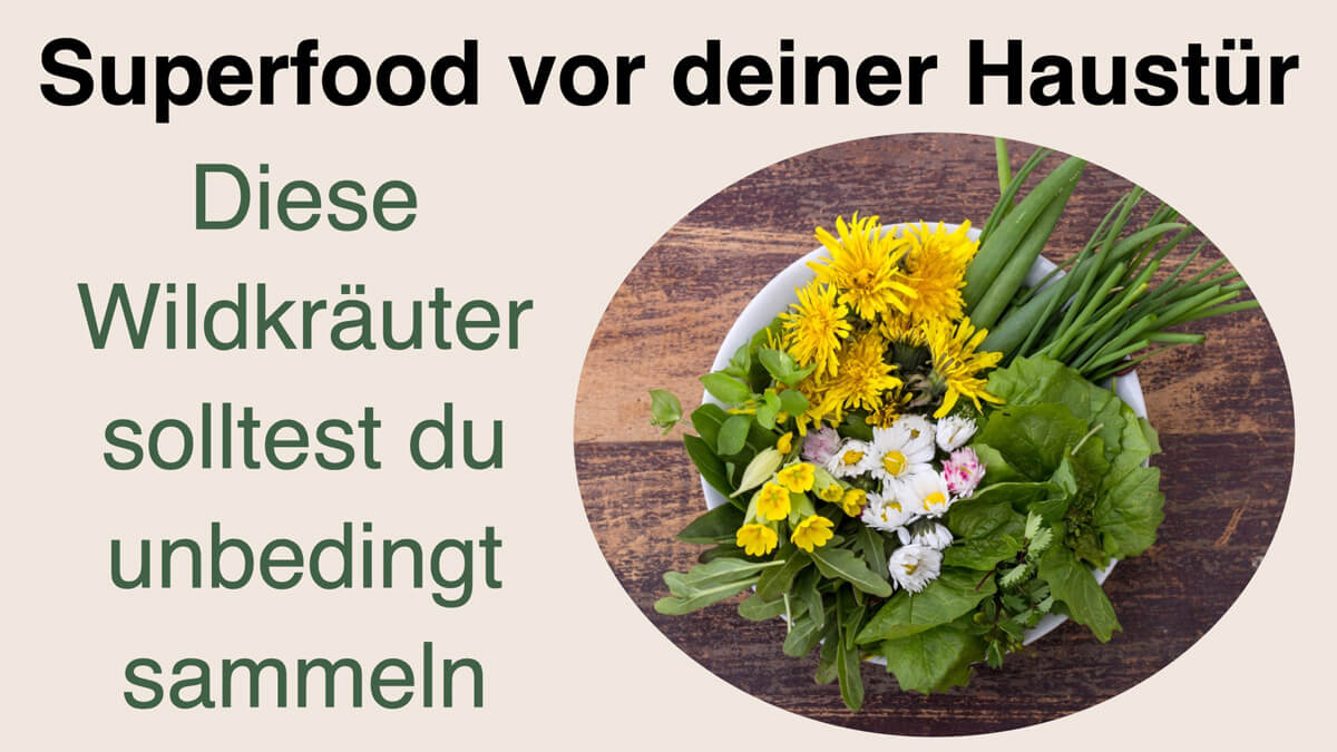 Präventiv-Apothekerin Fanny Patzschke verrät, warum du unbedingt Wildkräuter sammeln solltest und welche Heilpflanzen als natürliche Medizin nutzen kannst