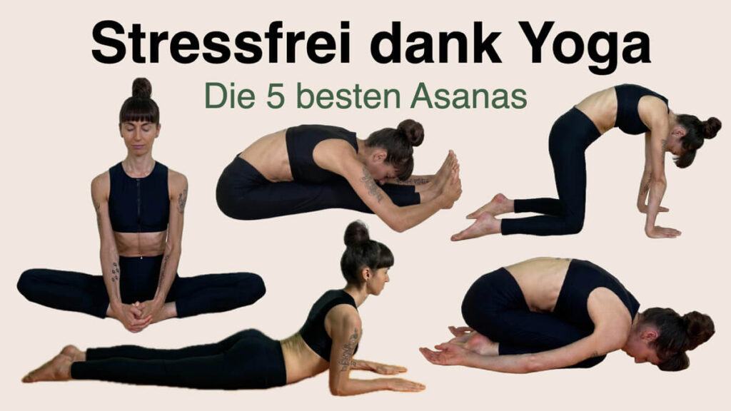 Apothekerin und Yogalehrerin Fanny Patzschke Fanny Patzschke zeigt die 5 besten Yoga Übungen gegen Stress: Stellung des Kindes, sitzende Vorwärtsbeuge, Katze, Sphinx, Schmetterling