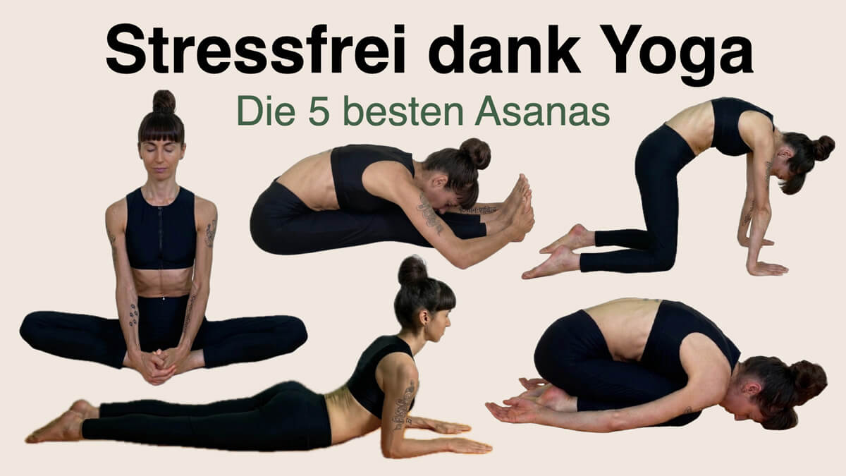 Apothekerin und Yogalehrerin Fanny Patzschke Fanny Patzschke zeigt die 5 besten Yoga Übungen gegen Stress: Stellung des Kindes, sitzende Vorwärtsbeuge, Katze, Sphinx, Schmetterling