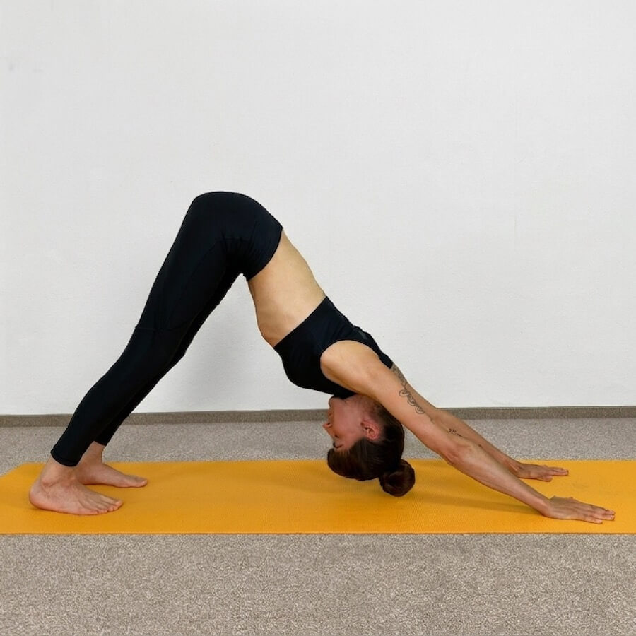 Yoga-Asanas: Apothekerin und Yogalehrerin Fanny Patzschke zeigt Adho Mukhashvanasana den herabschauenden Hund