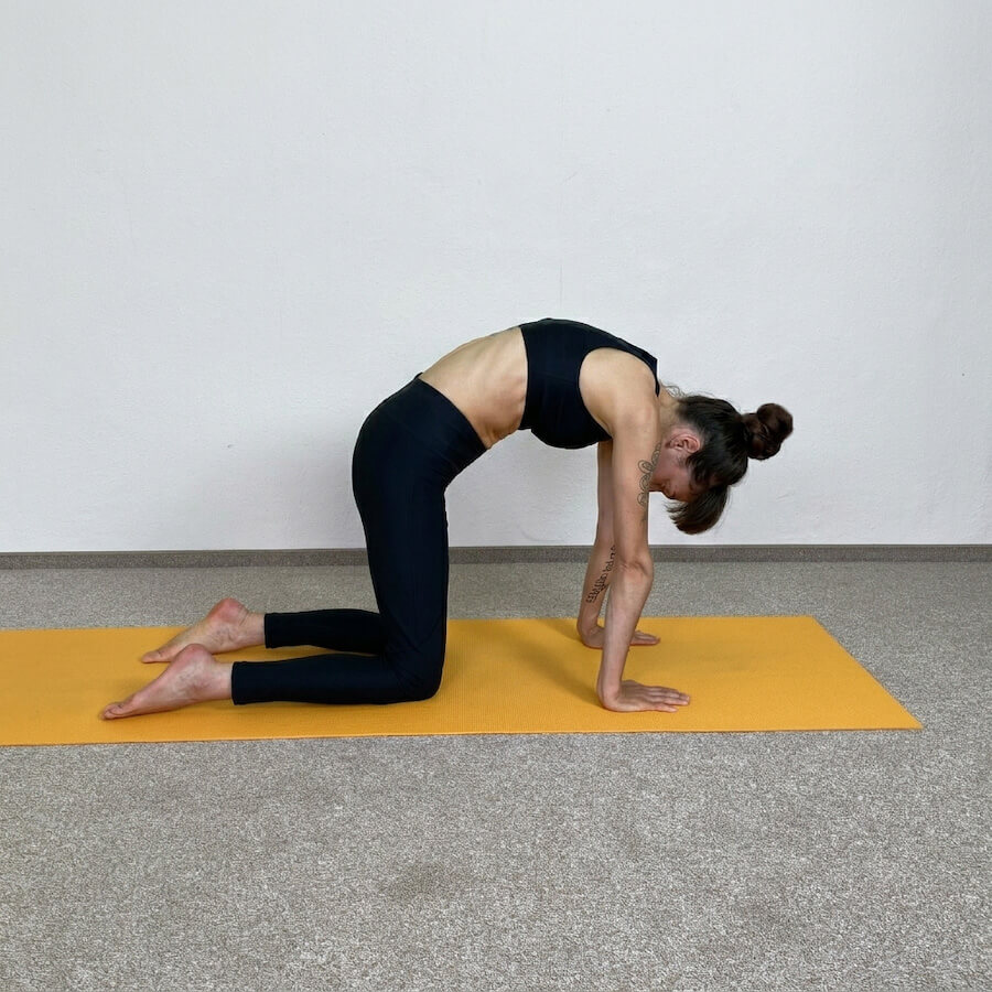 Yoga-Asanas: Apothekerin und Yogalehrerin Fanny Patzschke zeigt Majariasana, die Katze